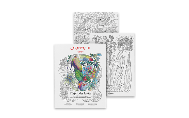 Colouring book FSC™ - L'ESPRIT DES FORÊTS