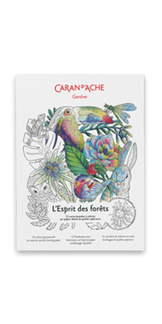 Colouring postcards FSC™ - L'ESPRIT DES FORÊTS