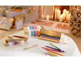 COLOUR TREASURE ECRIDOR™ SUNLIGHT Gift Set Ballpoint Pen & Leather Case Special Edition